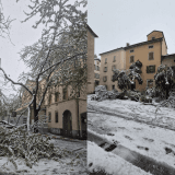 Neige